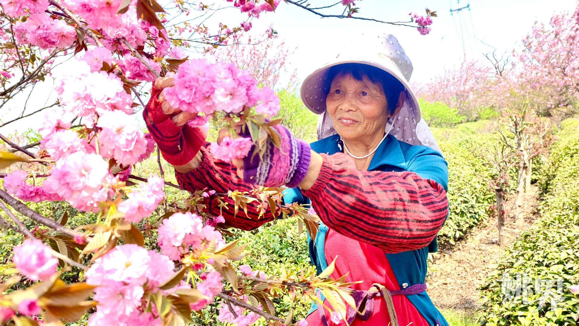 https://mc-public.yynews.com.cn/14856243217928.jpg