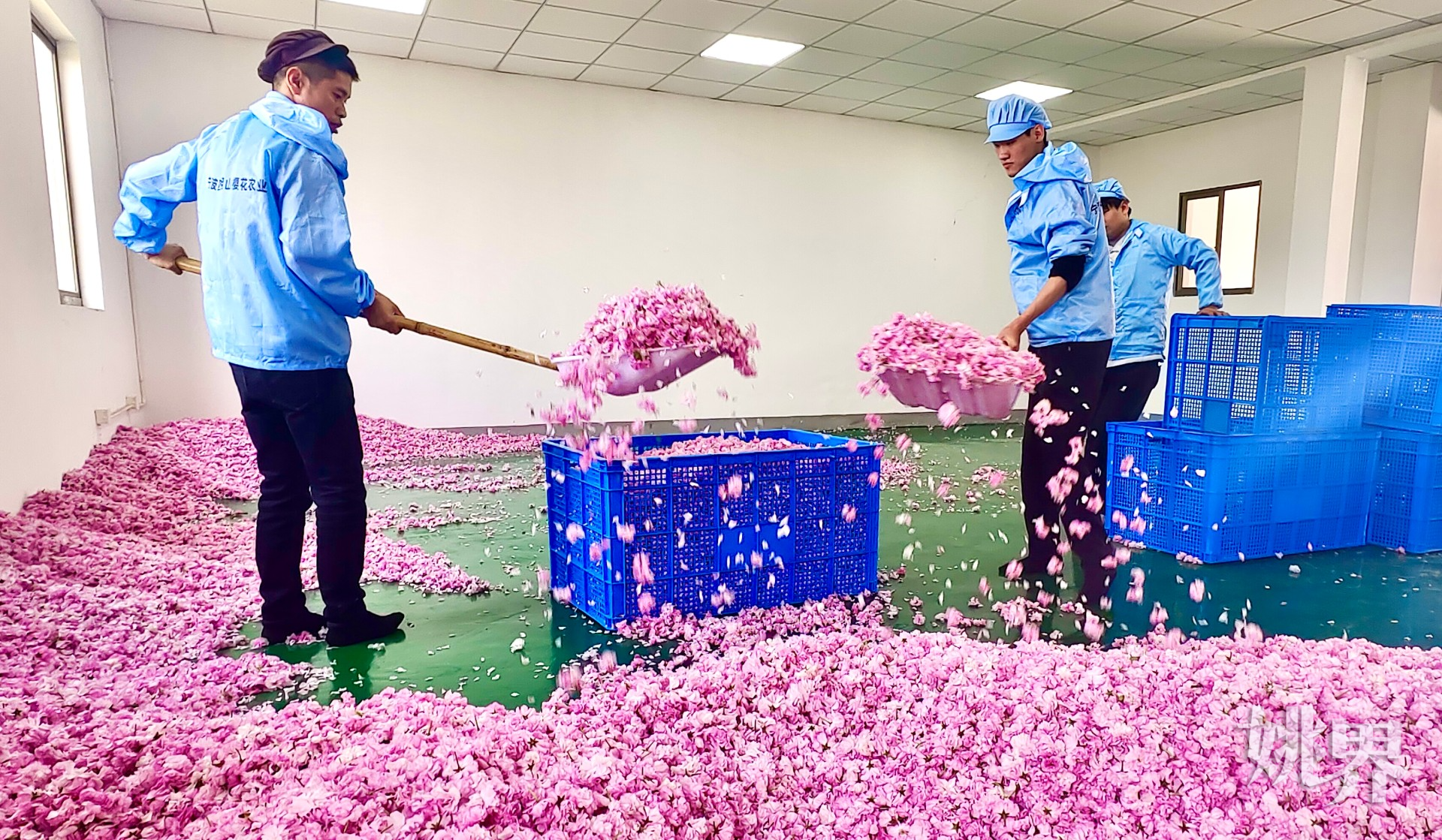 https://mc-public.yynews.com.cn/14856243459396.jpg