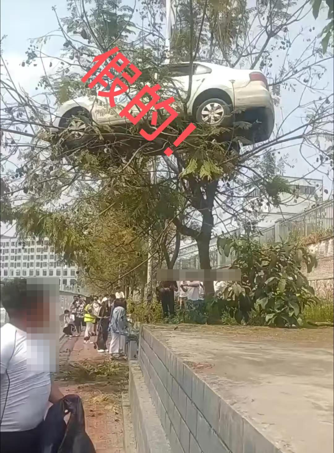 https://mmbiz.qpic.cn/mmbiz_png/GA0ru2kvgLkFuPb6rtib2WnQBCqrZz9Zjr0nURXeN1eAI0gtTsfibJPQwXHZwfkJzV3qAqJNjN7Runvy4p6qRhow/640?wx_fmt=png&from=appmsg&wxfrom=13&tp=wxpic