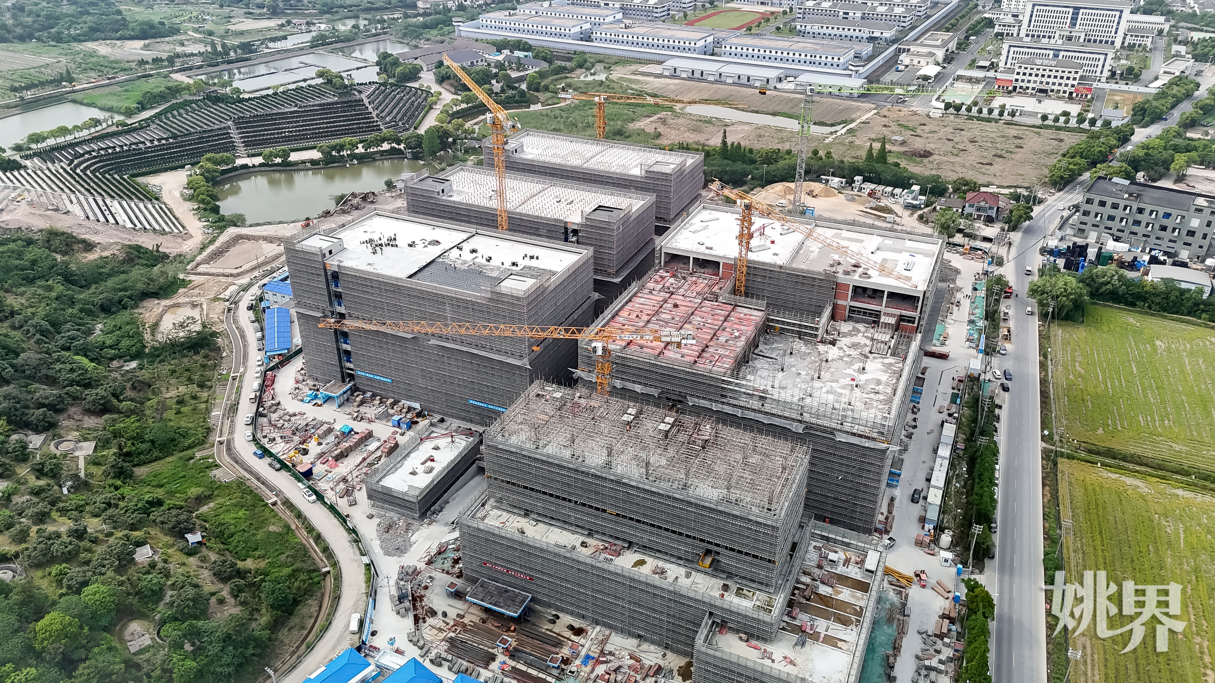 1DJI_20250430153758_0006_D.jpg