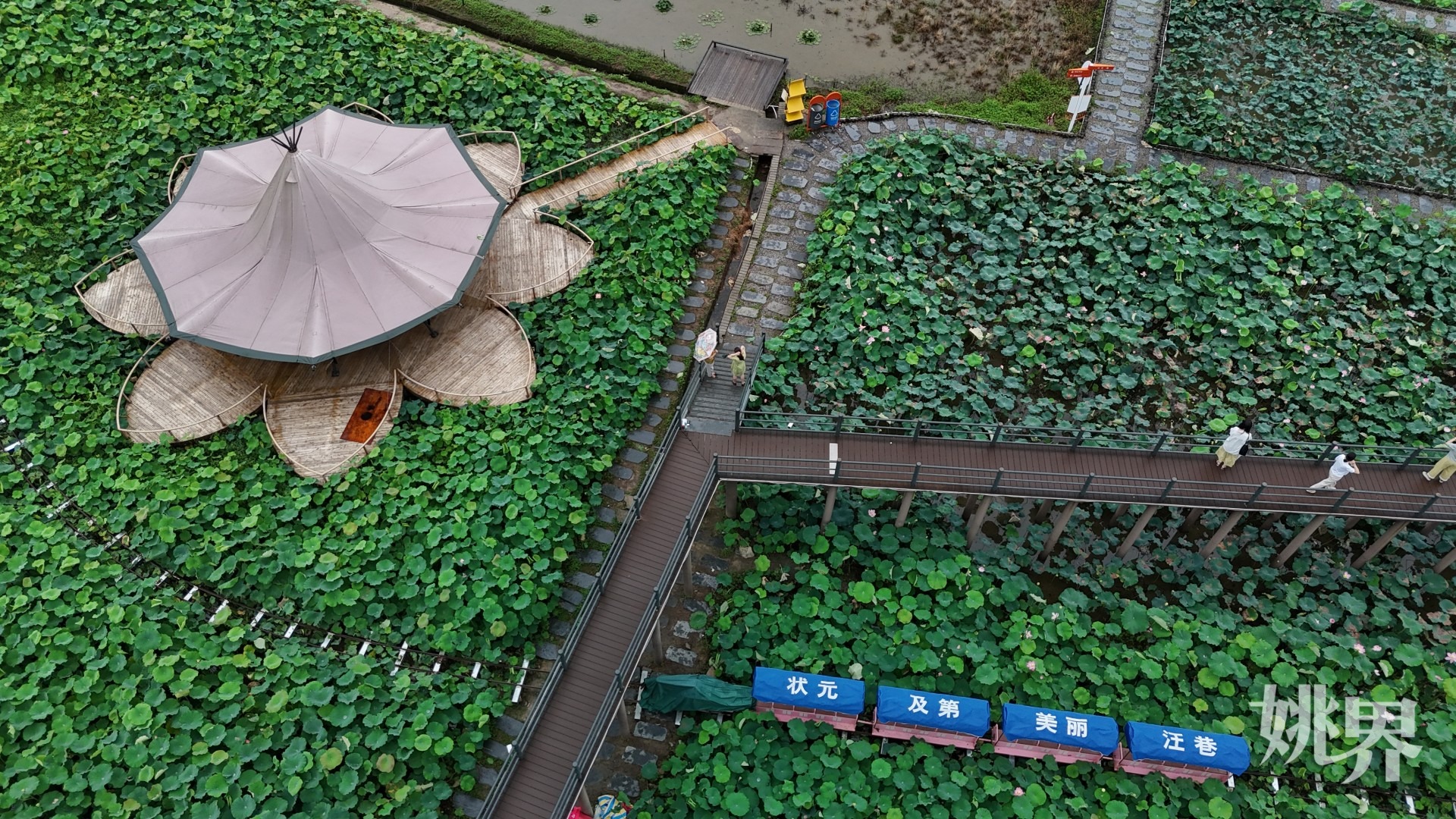 https://mc-public.yynews.com.cn/15276039873924.jpg