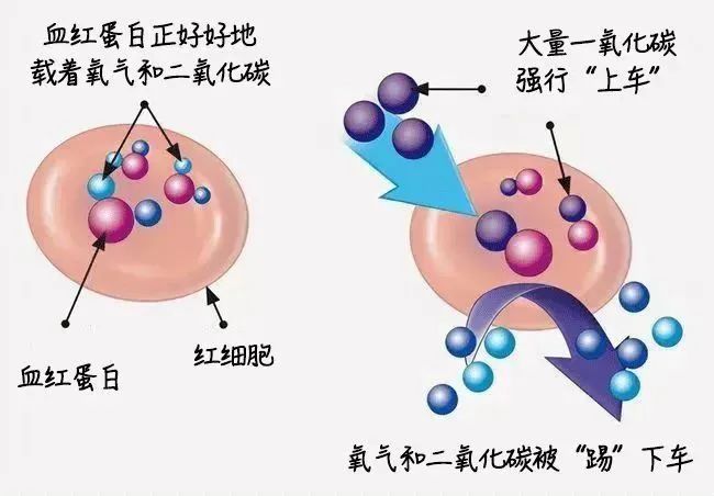 https://mmbiz.qpic.cn/sz_mmbiz_jpg/icrYkGNfqQxgkVWic5TwW2NXpS93geJ1TvEPO11ia0yP1sINBKGSkJcrJvblDYqDKKHq5eAUgc11IMIvyfjLSRPDA/640?wx_fmt=jpeg&from=appmsg&tp=wxpic&wxfrom=5&wx_lazy=1 图片